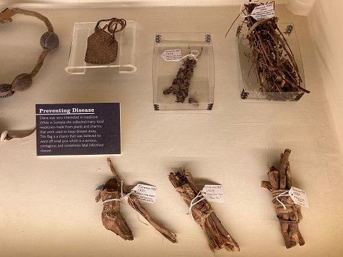 Medicinal collections display at the Powell-Cotton Museum © Powell-Cotton Museum