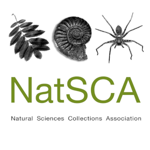 NatSCA logo
